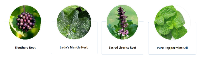 Enki Elixir Ingredients