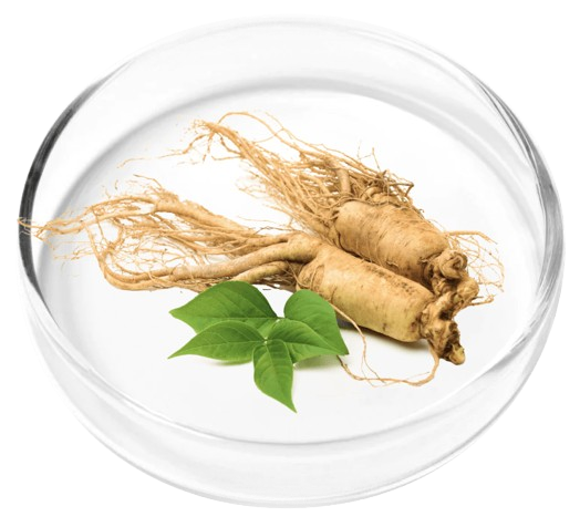 Ginseng Root Powder