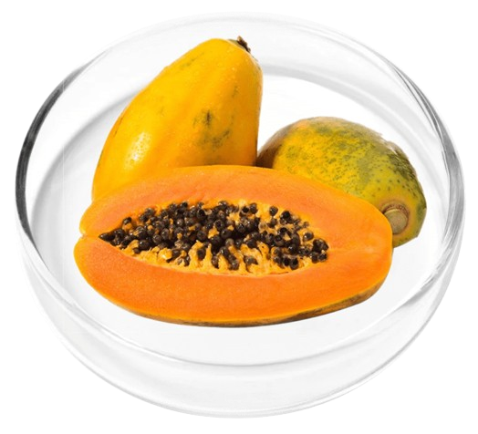 Papaya Powder